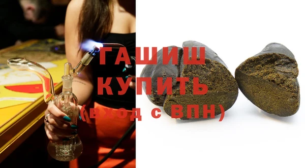 сатива Горняк