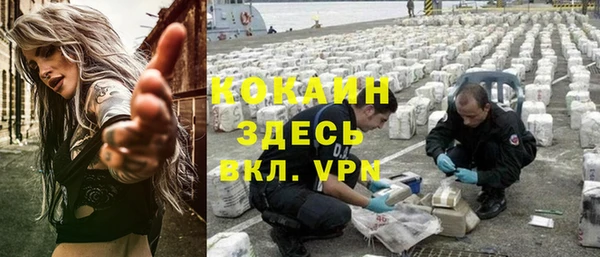 мескалин Дмитриев
