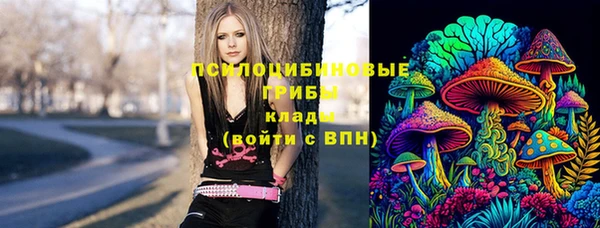 дурь Дмитровск