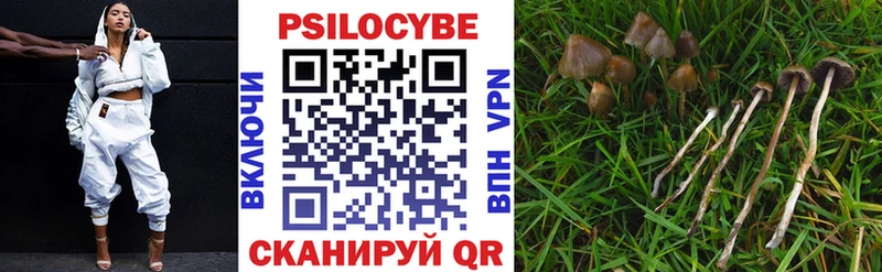 купить  цена  маркетплейс как зайти  Галлюциногенные грибы Psilocybine cubensis  Южно-Сахалинск 